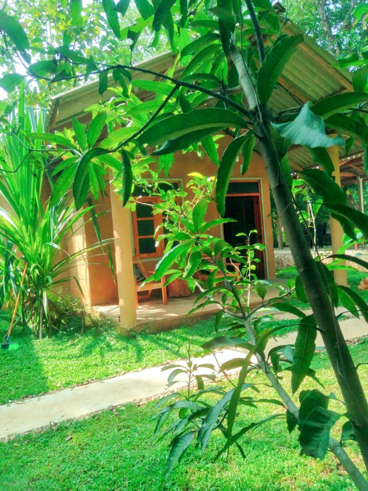 Monkey Jungle Cottage Udawalawe Exterior photo