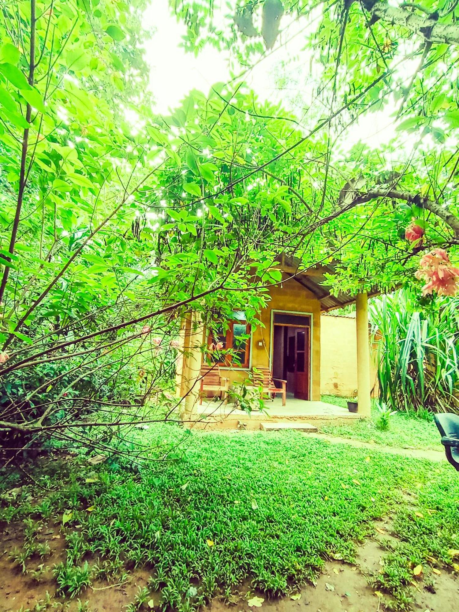 Monkey Jungle Cottage Udawalawe Exterior photo